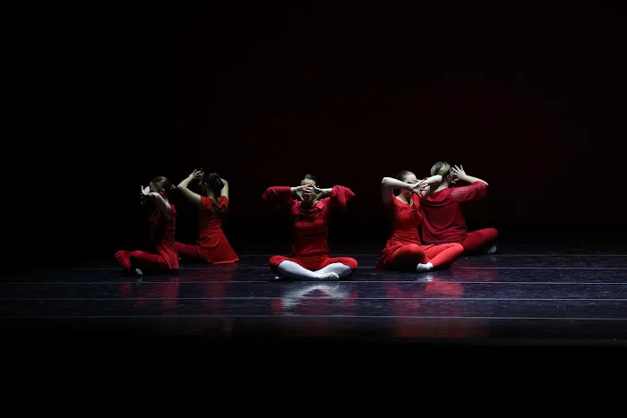 International Dance, LLC. Picture 4
