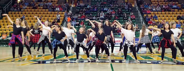 International Dance, LLC. Picture 7