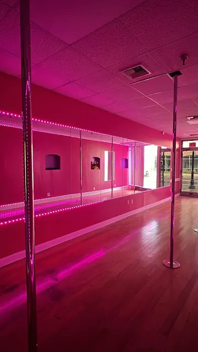 Pole Dance Paradise Picture 7