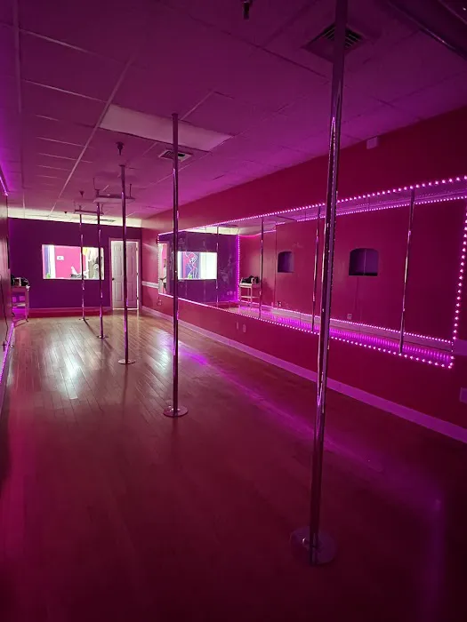 Pole Dance Paradise Picture 2