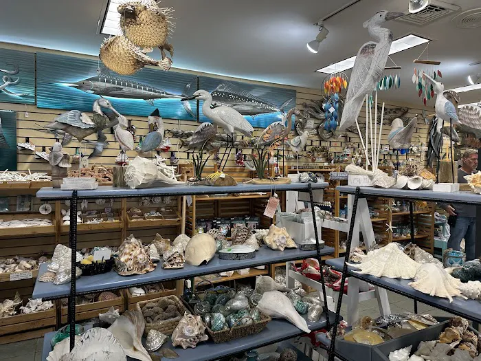 Dancing Dolphin Gift Shop Picture 4