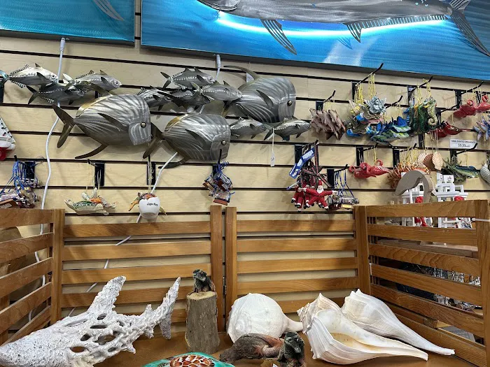 Dancing Dolphin Gift Shop Picture 5