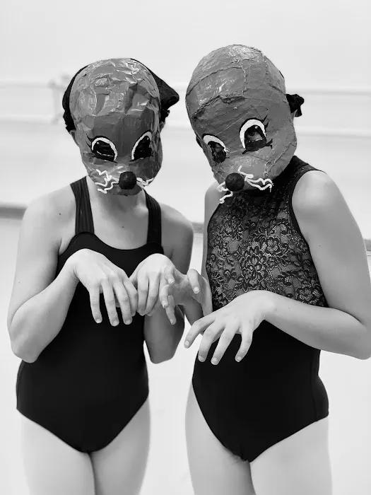 Virginia Ballet Company & School Picture 5