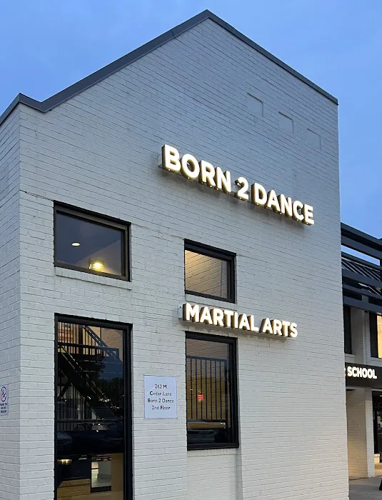 Born 2 Dance Studio - Vienna Picture 8