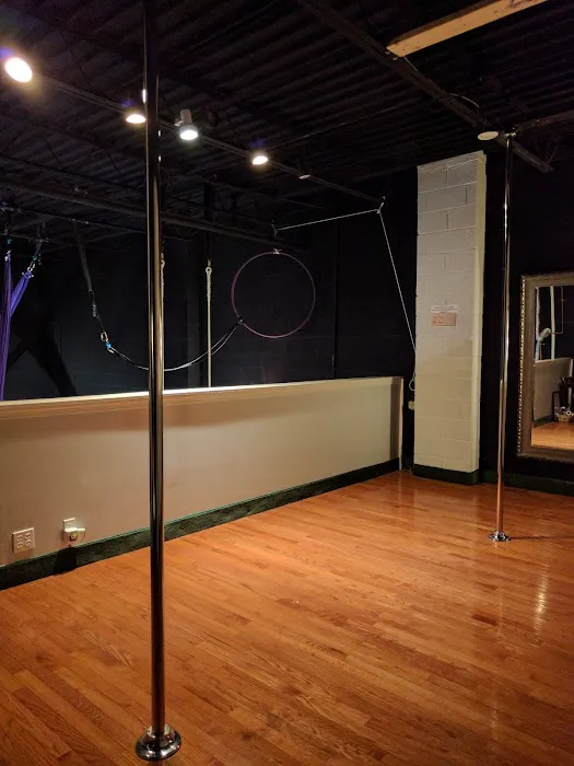 DivaFit Pole and Aerial Fitness Picture 6