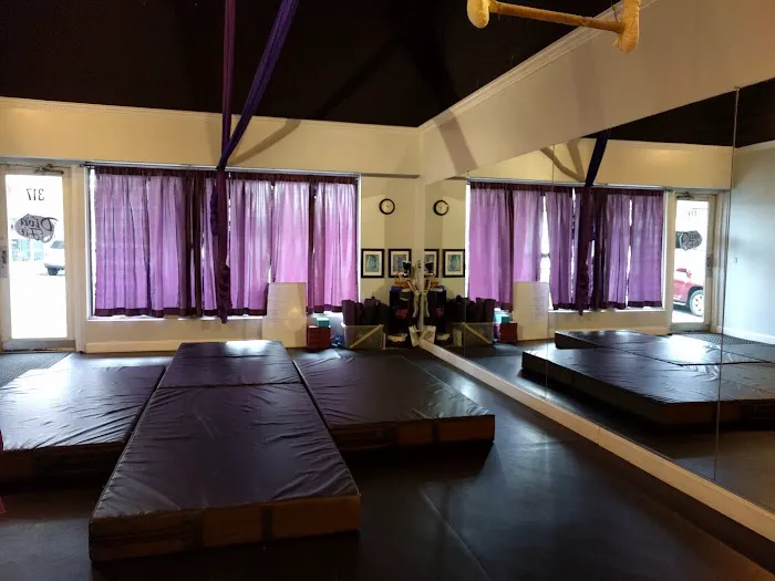 DivaFit Pole and Aerial Fitness Picture 1
