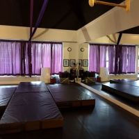 DivaFit Pole and Aerial Fitness ico