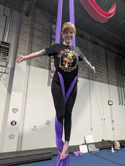 720 Aerial Arts Studio Picture 2