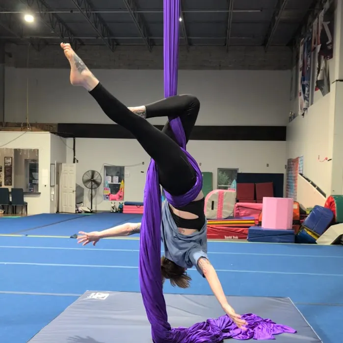 720 Aerial Arts Studio Picture 4