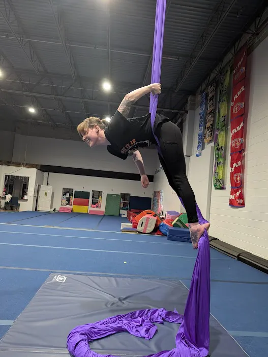 720 Aerial Arts Studio Picture 3