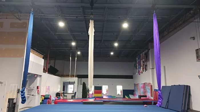 720 Aerial Arts Studio Picture 5