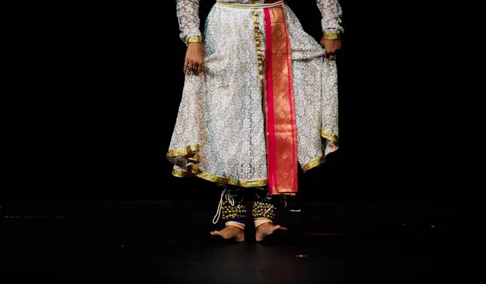 Arpan Dance Academy LLC Picture 3