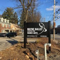 WAYNE BALLET & CENTER FOR DANCE ARTS ico