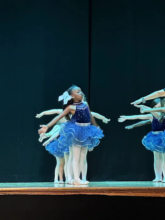 Art In Motion Dance Studio Picture 5