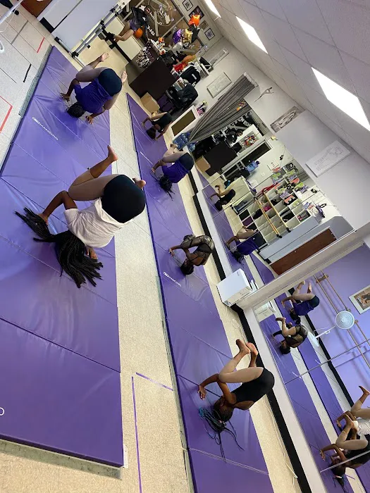 Premiere Dance Academy, LLC Picture 2