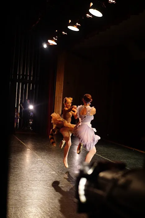Janka's Level Up Dance Academy, LLC Picture 3