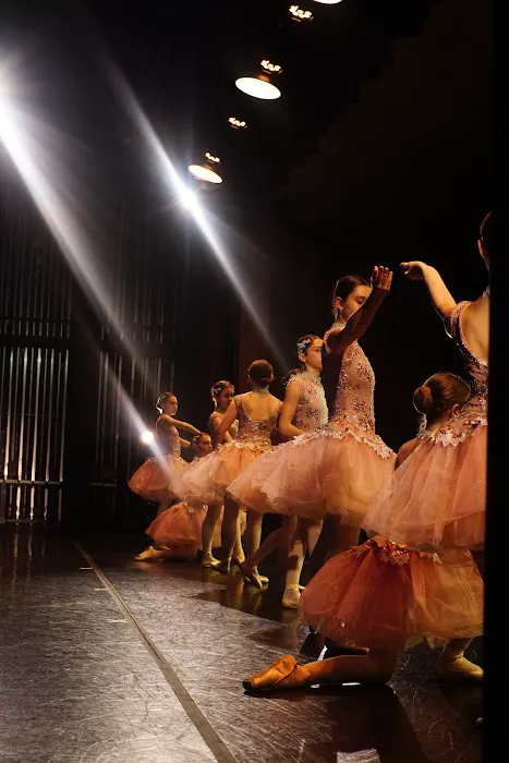 Janka's Level Up Dance Academy, LLC Picture 7
