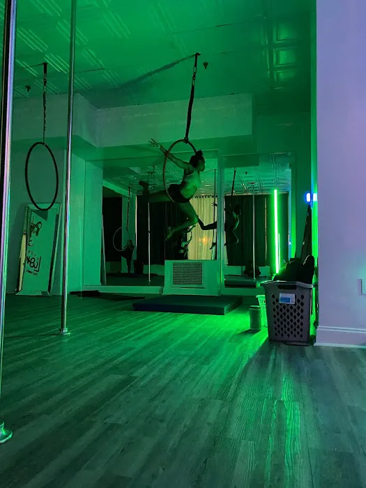 Lovely Lioness Pole Dance & Aerial Fitness Picture 7