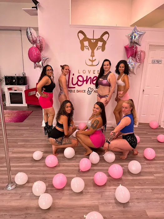 Lovely Lioness Pole Dance & Aerial Fitness Picture 3