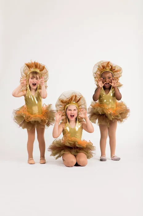 Equilibrium Dance Academy, LLC Picture 2