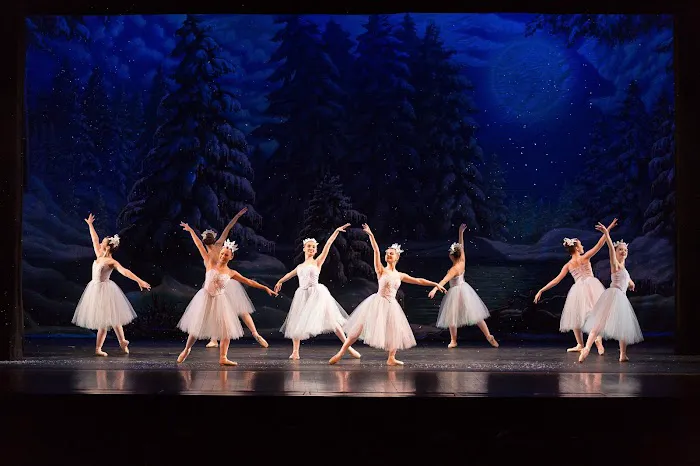 Berks Ballet Theatre Conservatory of Dance Picture 7