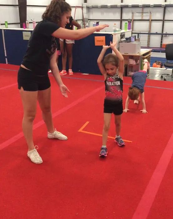Upper Merion Dance & Gymnastics Center LLC Picture 9