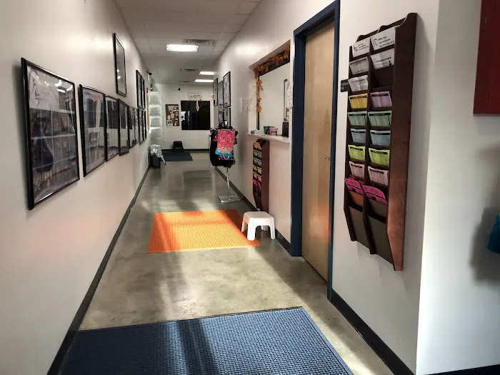 Upper Merion Dance & Gymnastics Center LLC Picture 8