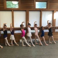 Denise Gucwa's School of Dance ico