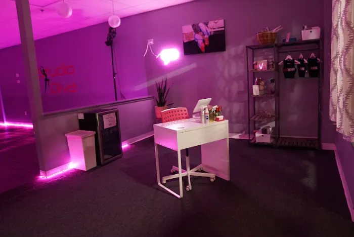 Studio Diva Picture 4