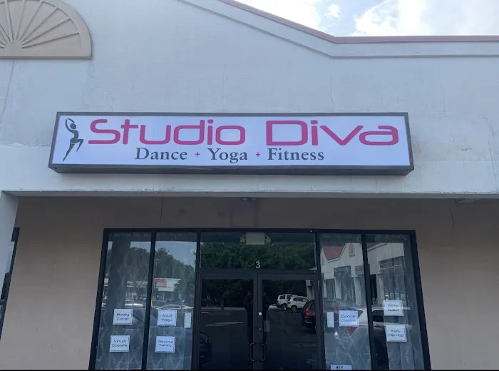 Studio Diva Picture 3