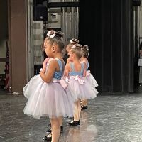Mainstream Dance Academy ico