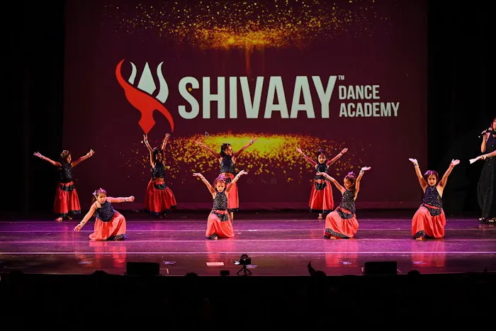 Shivaay Dance Academy Picture 4