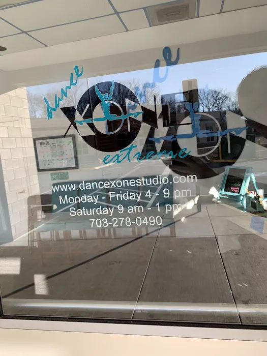 Dance Xone Extreme Picture 2