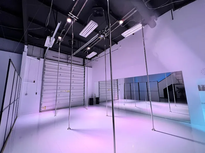 Two Sparrows Aerial Dance Co. Picture 1