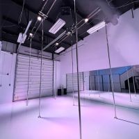 Two Sparrows Aerial Dance Co. ico