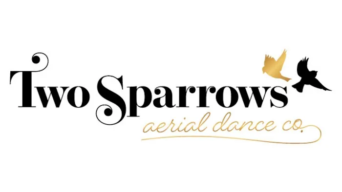Two Sparrows Aerial Dance Co. Picture 7