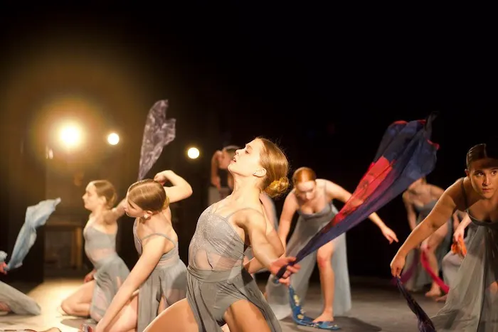 Polaris Dance Institute Picture 3