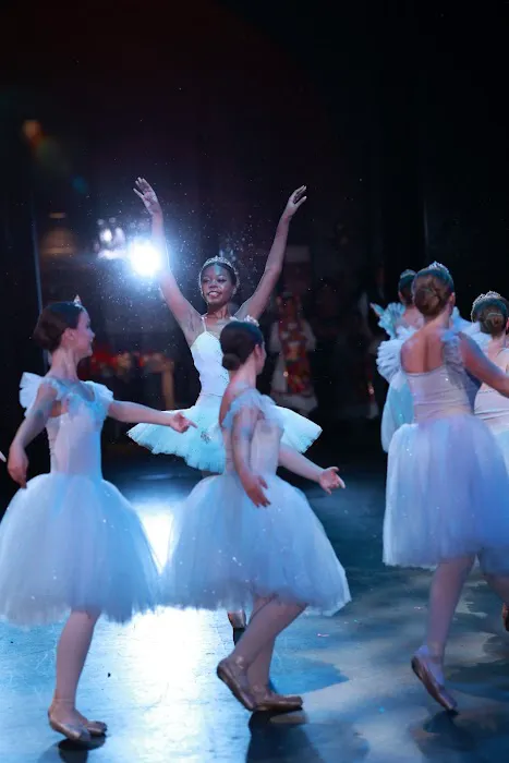 Academy of Ballet Ltd Picture 4