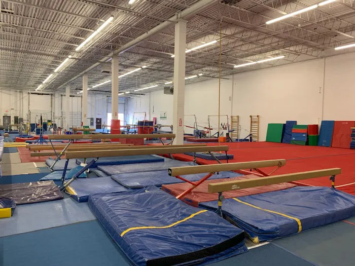 Gym America - Gymnastics & Dance Center Picture 4