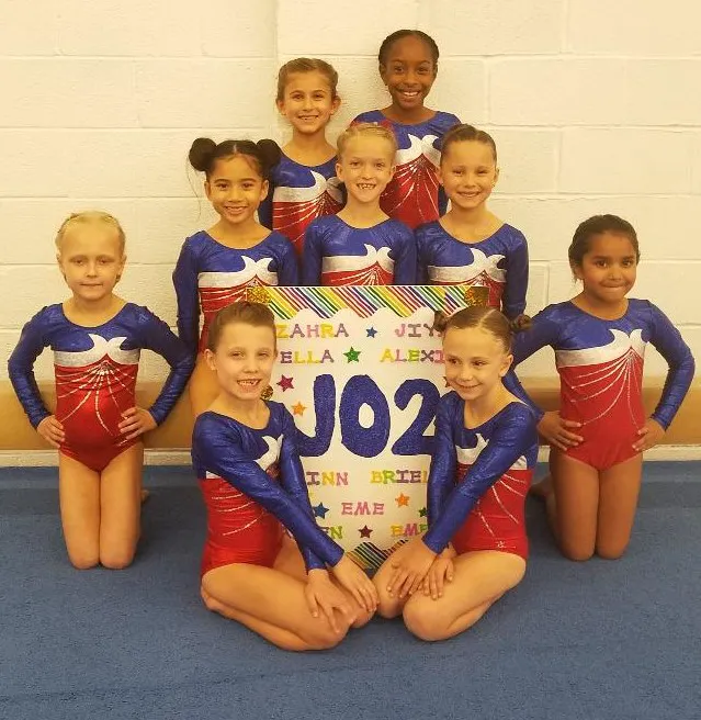 Gym America - Gymnastics & Dance Center Picture 5