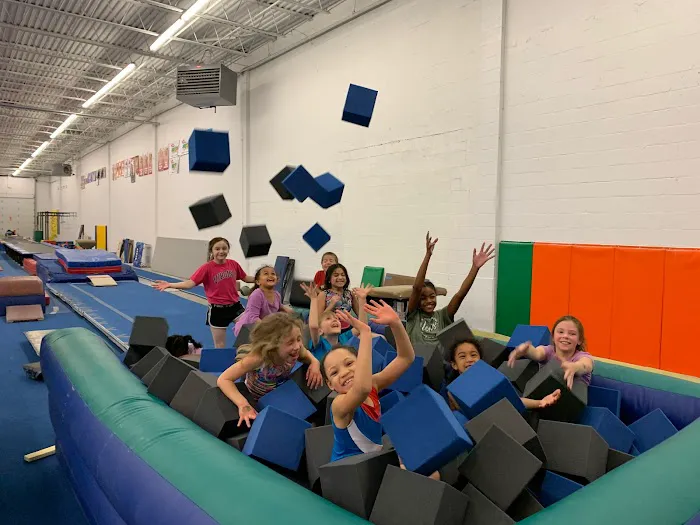 Gym America - Gymnastics & Dance Center Picture 1