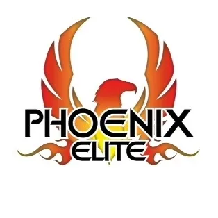 Phoenix Elite Cheer Picture 1