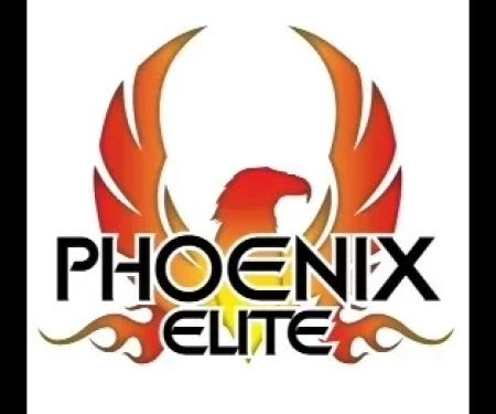 Phoenix Elite Cheer