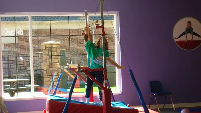 The Little Gym of Winchester Picture 3