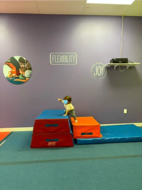 The Little Gym of Dulles Landing Picture 4