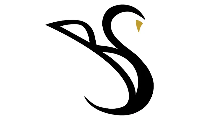 BSwan Dance, LLC Picture 8