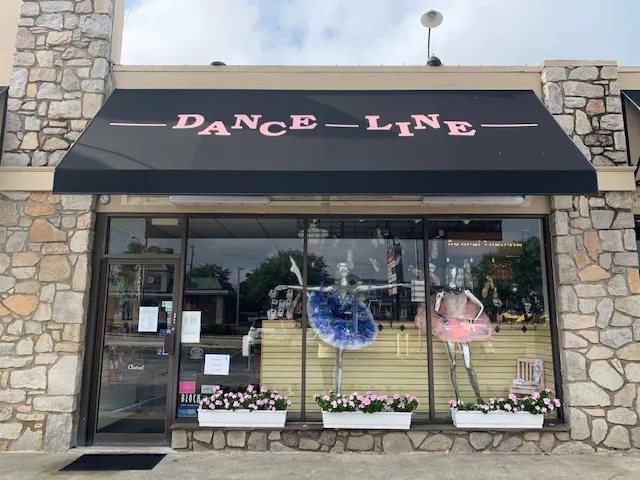 DanceLine Picture 4