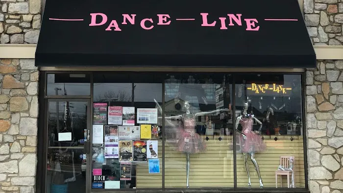 DanceLine Picture 3