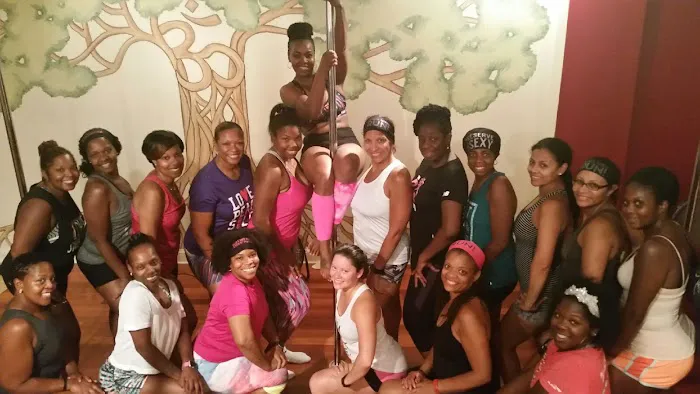 Elevate YOU Pole Fitness and Aerobic Studio Picture 3