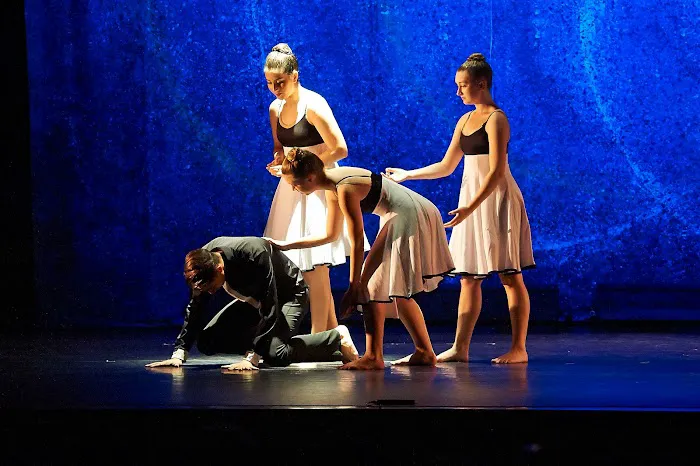 Bowman School of Dance Picture 3